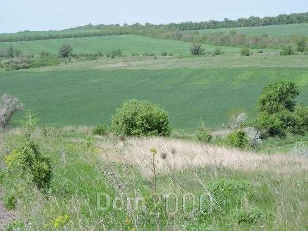 Продаж садиби: 1078 кв.м. будівель, понад 60 га с/г землі