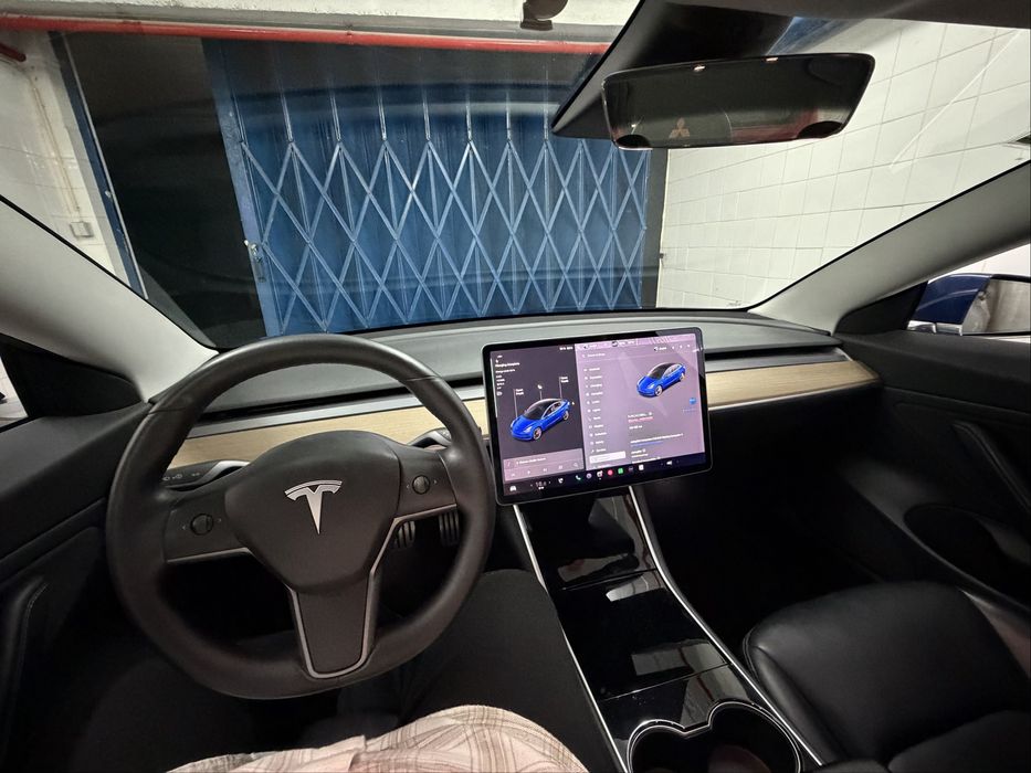 Tesla Model 3 Performance