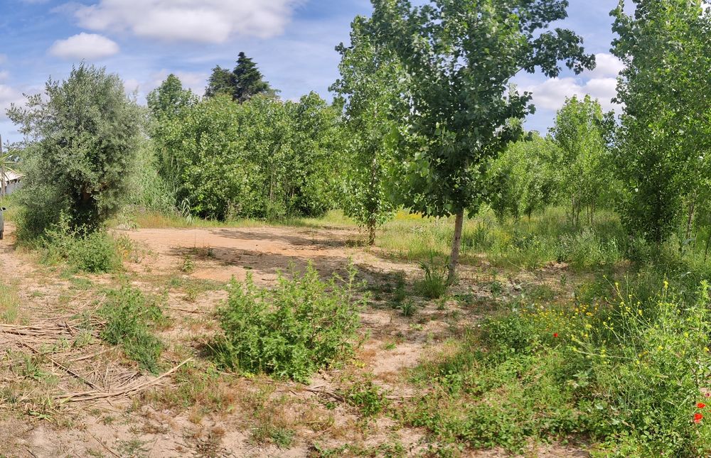 terreno rustico adémia