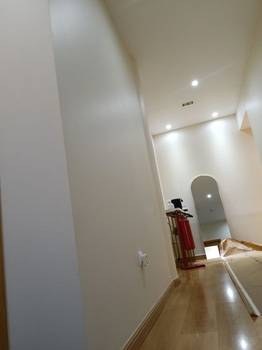 Pintor profissional, Barramentos de Pladur e paredes