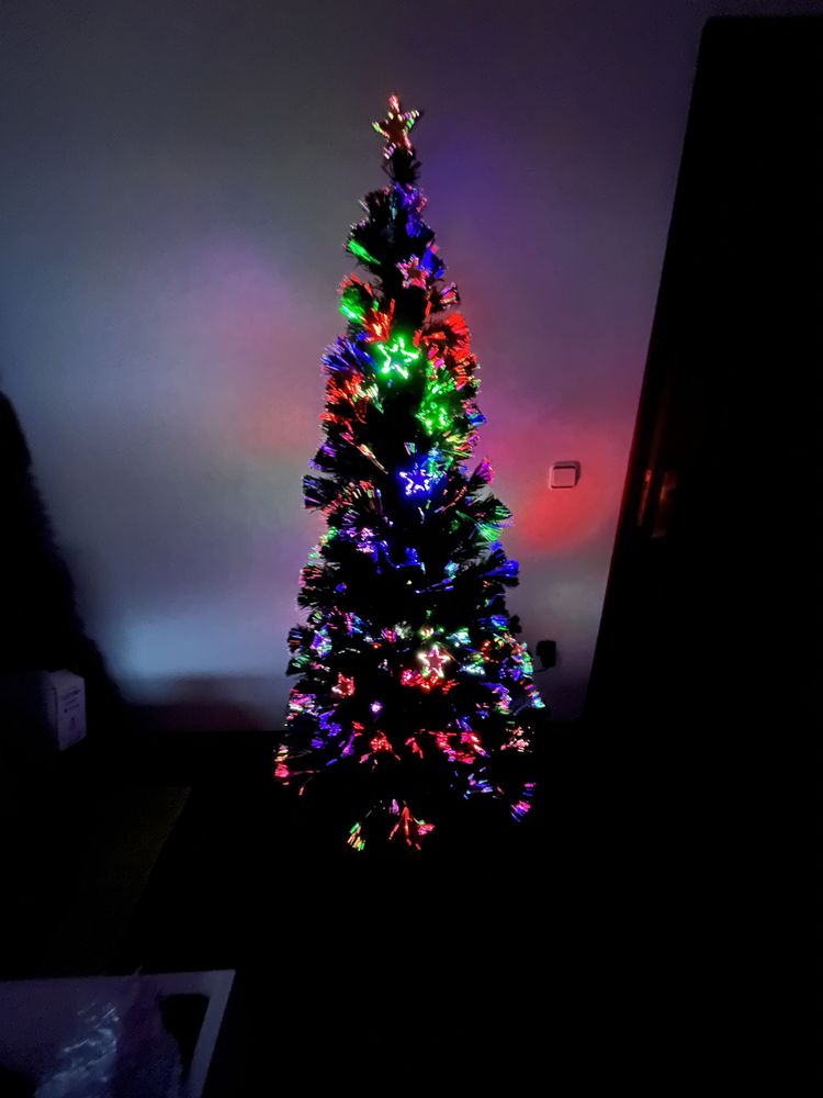 Árvore de Natal com fibra óptica São Pedro de Castelões • OLX Portugal