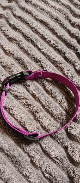 Ошейник для собак середніх порід