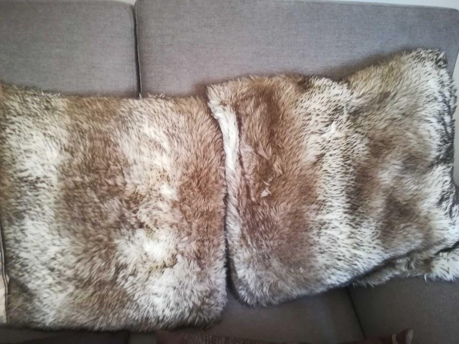 2 almofadas de sofá+ manta de pelo