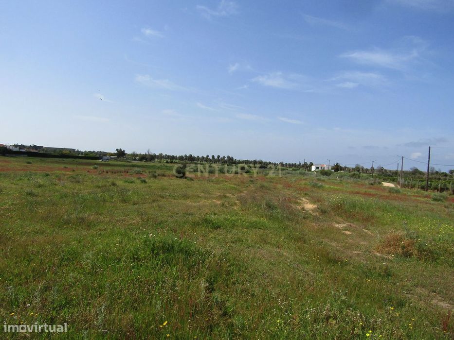 Terreno Rústico