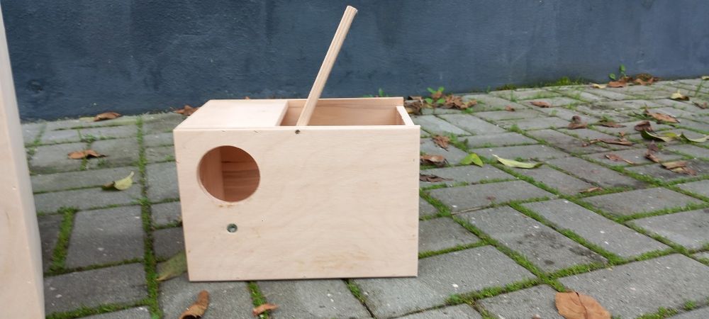 Ninhos novos agapornis caturras