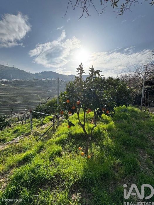 Terreno Agrícola em Tabuaço