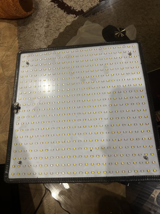 LED фитолампа 50W |