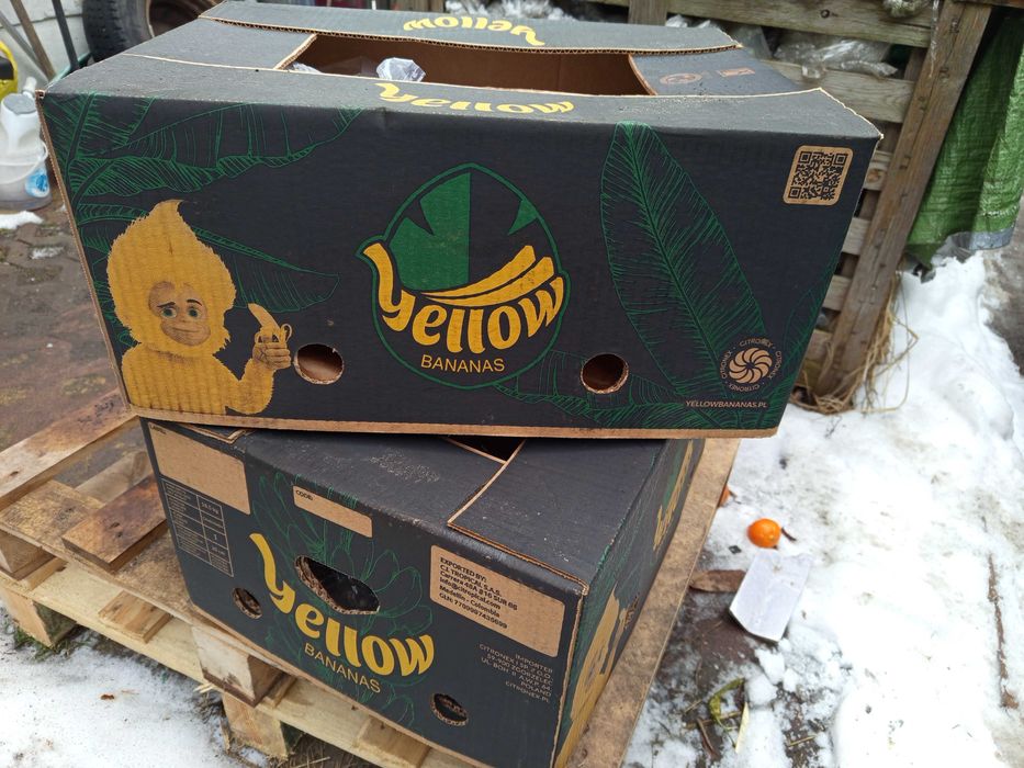 Kartony po bananach
