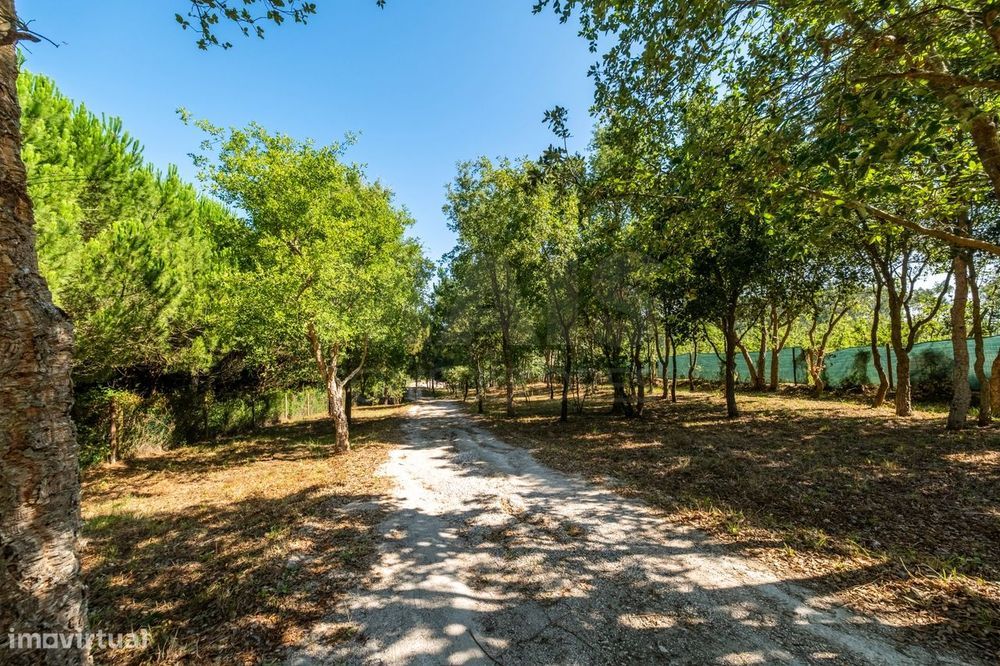 Terreno Agrícola na Fanadia | 16.100 m² de Potencial e Infraestrutu...