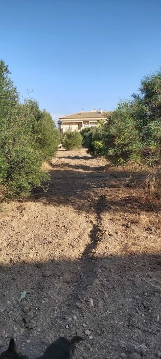 Oportunidade para passatempo de Agricultura no centro de S. Brás