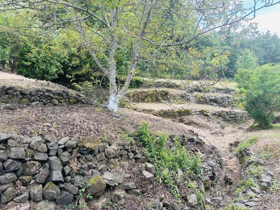 Продається зона відпочинку на ЗАМКОВІЙ ГОРІ у м. Виноградів
