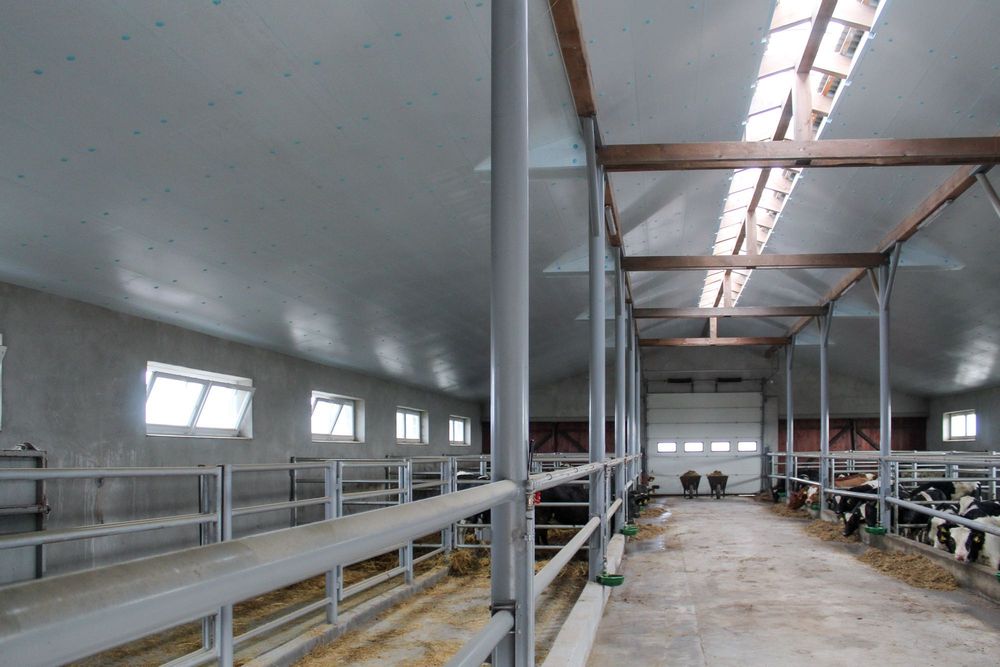 STYRODUR XPS AGRO Ocieplenie Izolacja Dachu Obory Kurnika Tuczarni Hal