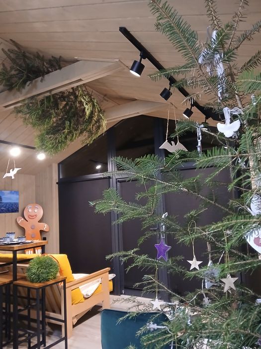 Відпочинок в Карпатах,оренда котеджу (до 5 гостей)  ЦІНА ЗА КОТЕДЖ