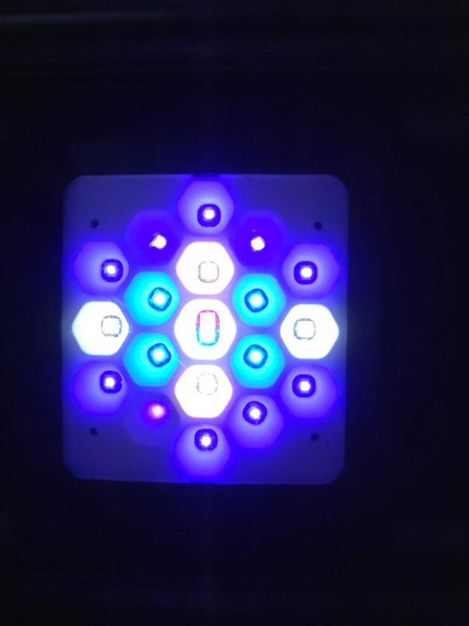 Lampa LED do akwarium morskiego Maxspect RSX 200