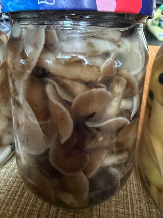 Гриби білі, опеньки, маслята мариновані