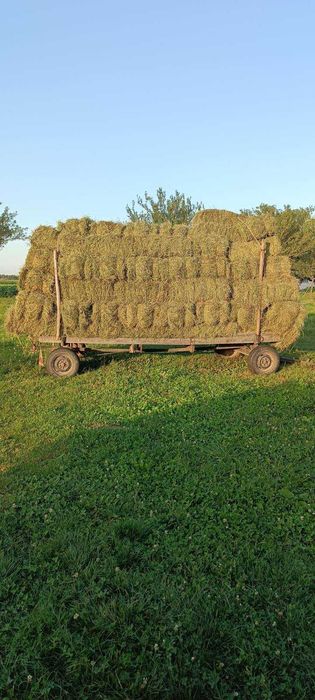 Сіно в тюках ; Отава