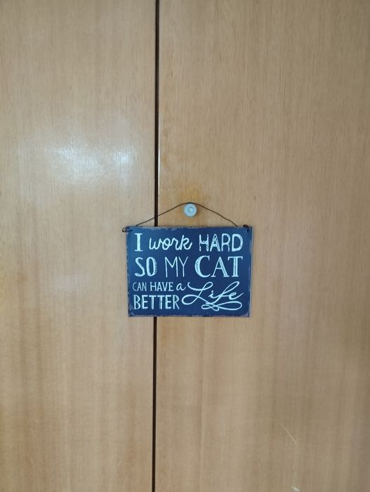 Placa decorativa para amantes de gatos