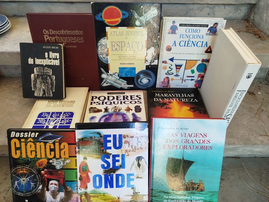 Lote de Livros Variados (Infanto-Juvenil, Dicionários, Enciclopédias e Ficção)