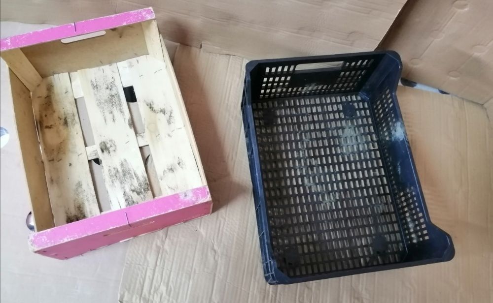 caixas de madeira e plástico64752331618433121