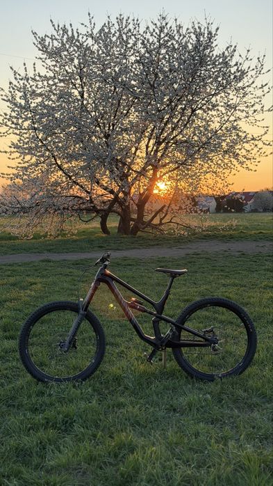 Canyon Spectral cf 27.5 carbon custom industry nine