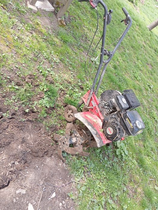 Cięcie drewna opałowego Wycinka drzew karczowania działek, koszenie