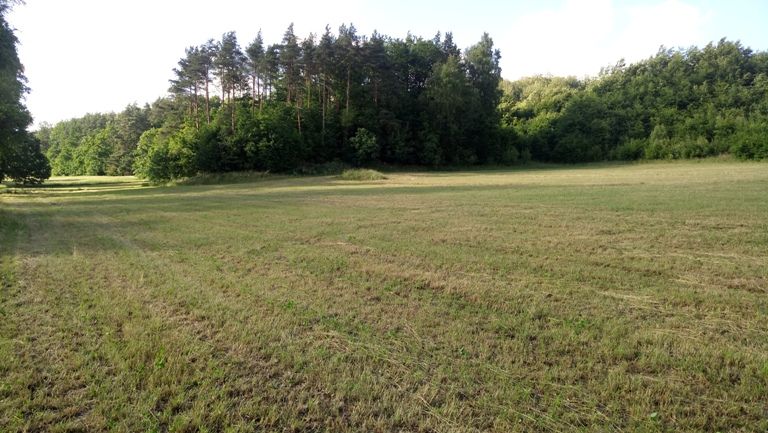 OKAZJA Działka z WZ, media!