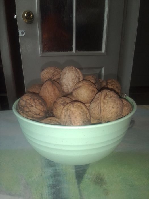 Грецкие орехи этого года