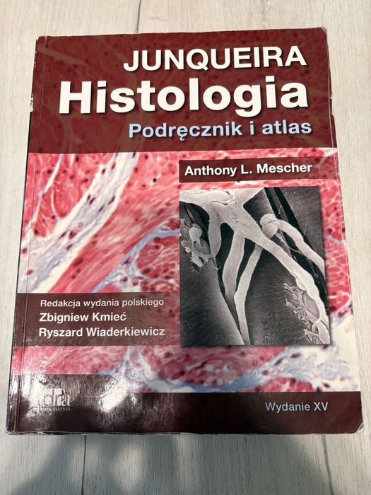 Histologia Junqueira