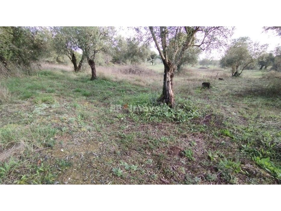 Terreno misto com 3080 m2, em Delongo