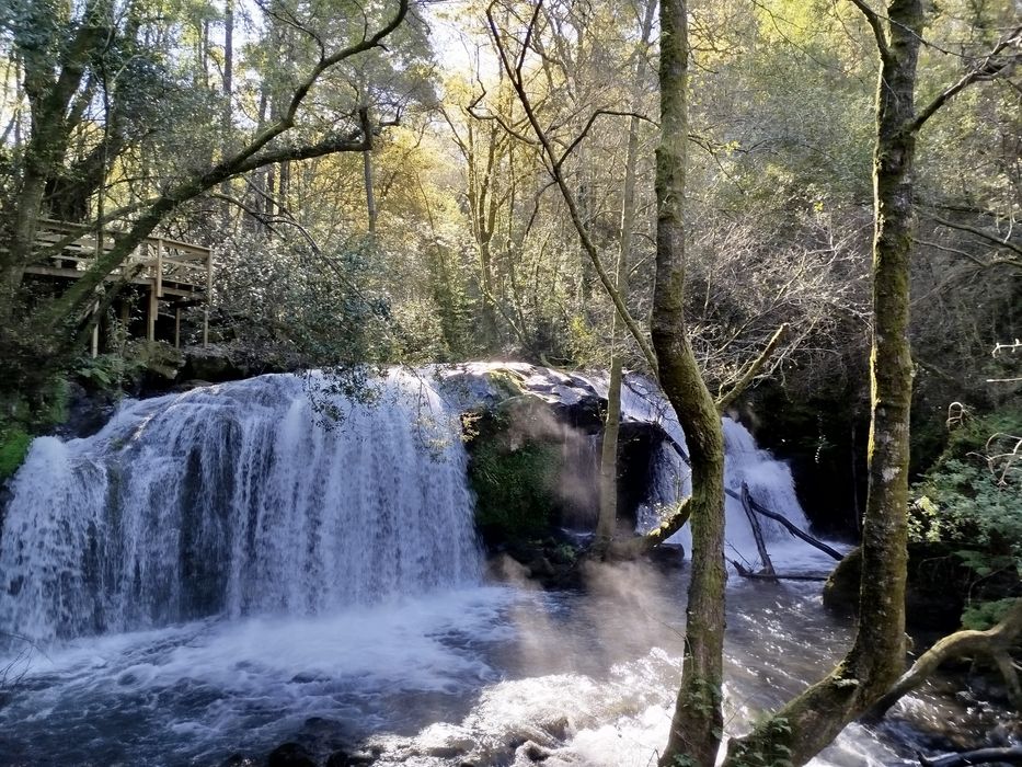 Quinta com casa antiga 7000m2 Pindelo