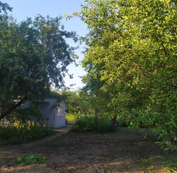 Велика земельна ділянка,дача з будиночком