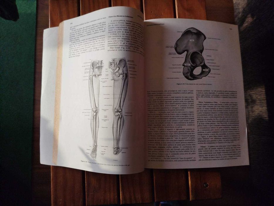 Anatomia e fisiologia humana de Jacob Francone Lossow