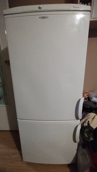 Lodówka Amica ACZ3101