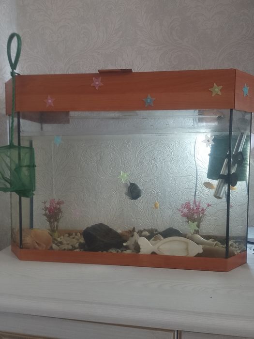 Акваріум 80 літрів