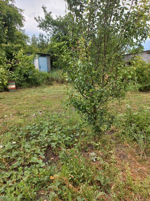 Продам дачу за Перемогай