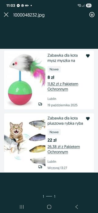 Zestaw zakupowy dla kota
