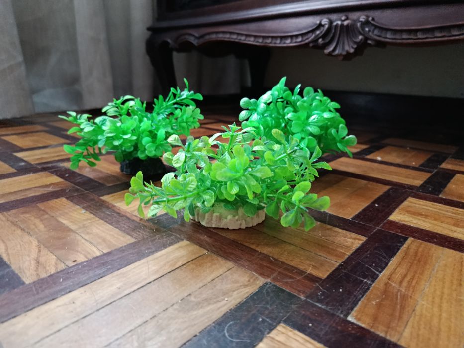 Várias plantas arficiais decorativas para aquário