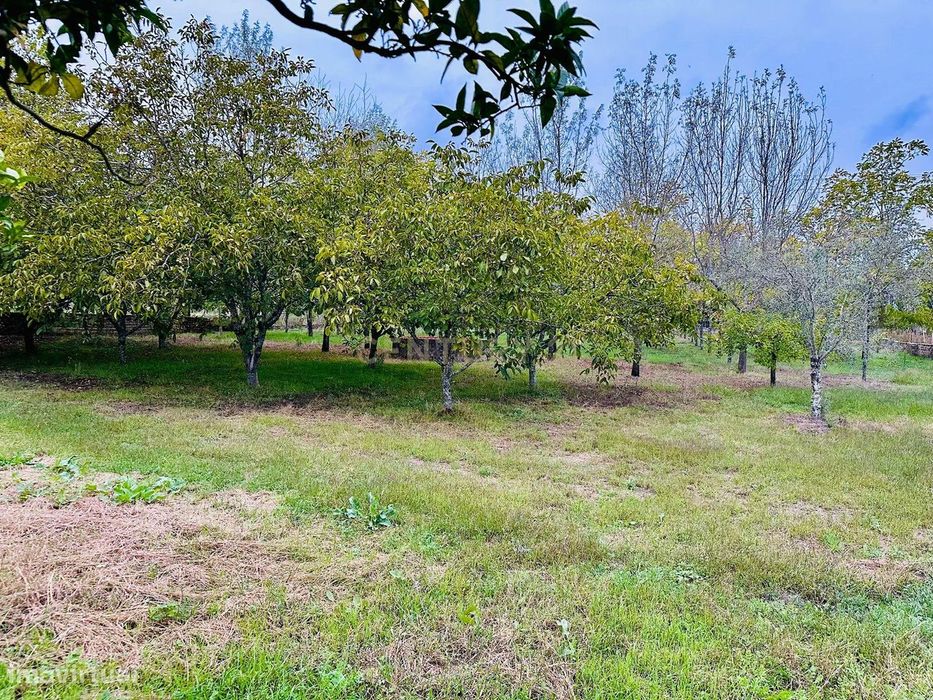 Dois artigos: Urbano com 498 m2 e terreno rústico com 1000 m2 em Vilar