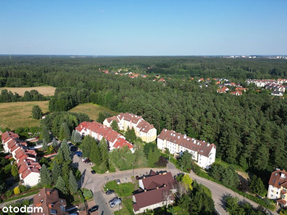 Bezpośrednio przy lesie, blisko jezior | Redykajny