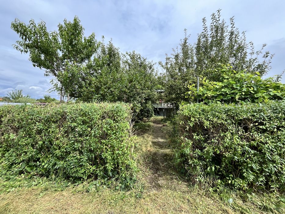 Domek na działce ROD im. K. Wielkiego w Ostrzeszowie - bezposrednio