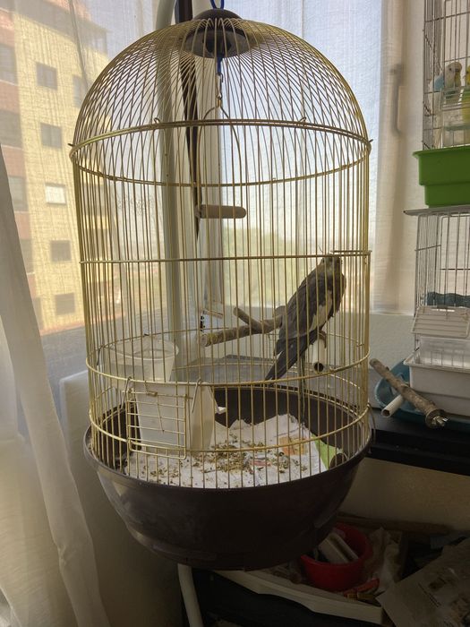 Gaiola + suporte de pé