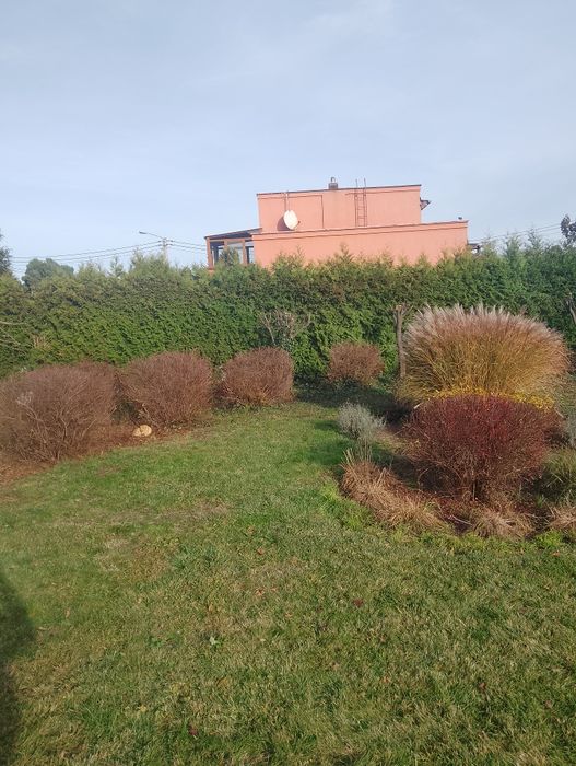 Usługi ogrodnicze