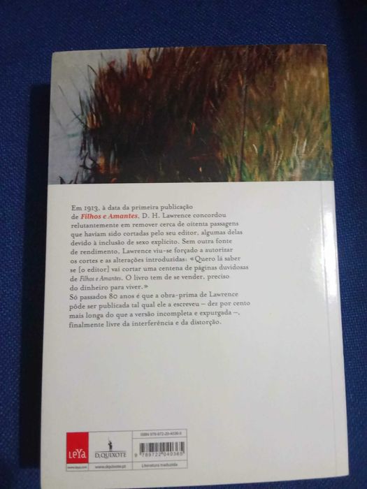 Filhos e Amantes, de DH Lawrence