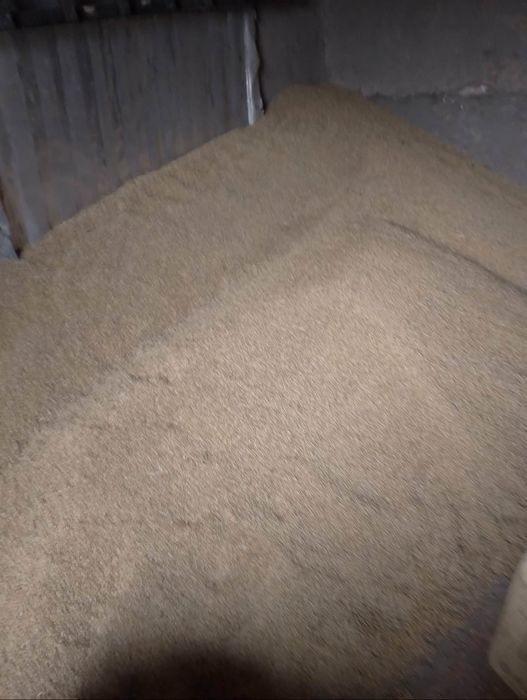 Пшениця ячмінь соя