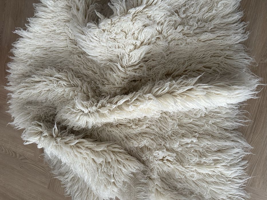 Flokatii do sesji fotograficznej