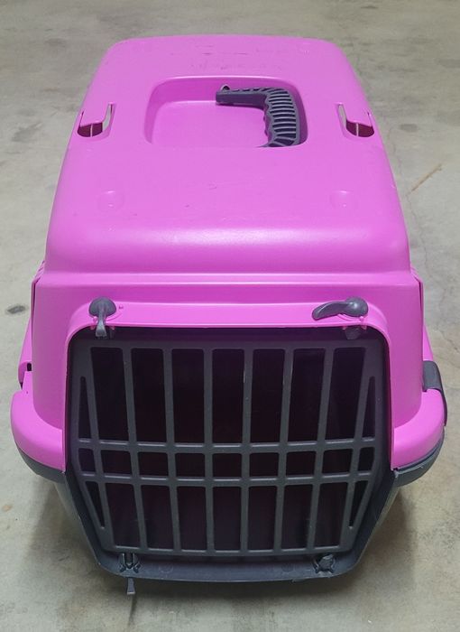 Caixa de areia + de transporte + arranhador para gato