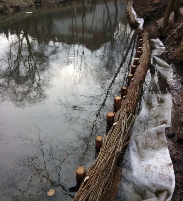 Kiszka Faszyna regulacja stawów