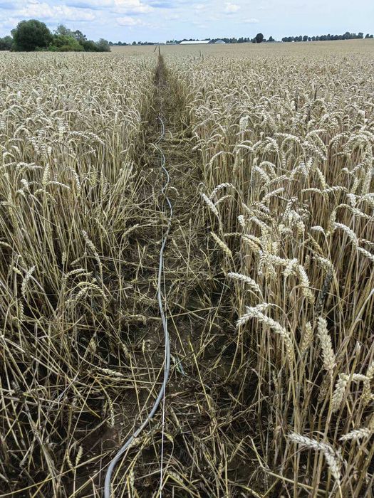SZUKANIE WODY MAZOWSZE, Tarczyn. Tomografia elektrooporowa