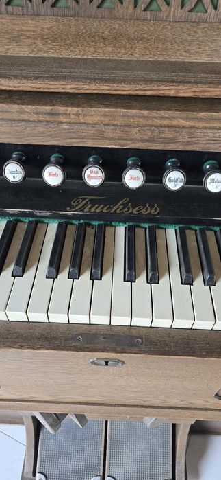 Piano e órgãos centenáris, manuais e outros eletrico. s
