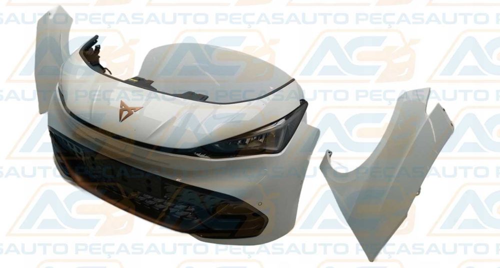 Cupra Born Frente Completa